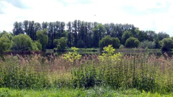 A quiet day with an intense walk - My Actifit Report Card: May 18 2024