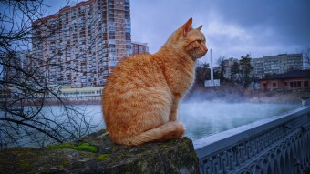 Try your hand at mobile photography