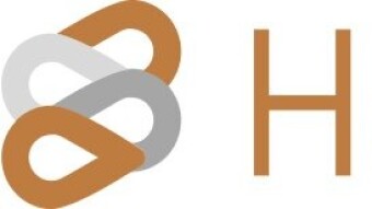 Hector Finance - Second Biggest Project On Fantom