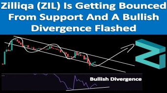 Zilliqa (ZIL) Is Getting Bounced From Support And A Bullish Divergence Flashed
