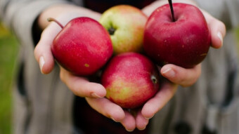 Does an Apple a Day Keep the Doctor Away?