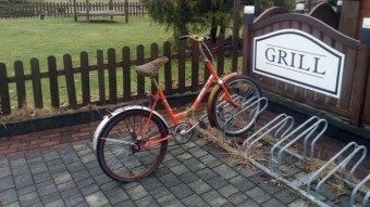 Spring, optimistic - My Actifit Report Card: February 23 2026