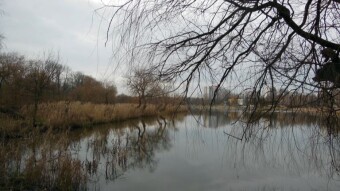 Looped around pond "Morocco" - My Actifit Report Card: January 6 2023