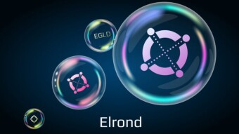 Elrond Network updates: MEX, eGLD staking and celebrations