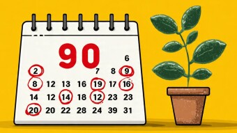 The 90 Day Deadline - Why Most Online Businesses Fail and How to Make Sure Yours Does Not ?