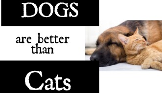 Dogs are BETTER THAN Cats? What do you think?