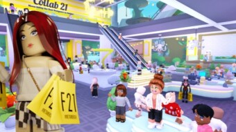 E-Commerce and the Emerging Metaverse