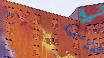 Art and the balance of harmony and competition