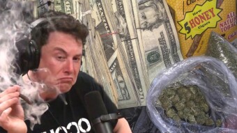 EARN MONEY FOR CULTIVATING AND SELLING MARIJUANA FROM YOUR HOME