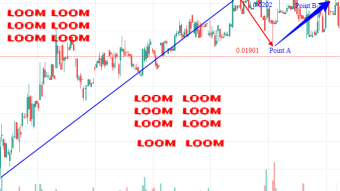 Loom coin future price prediction based on its consensus used