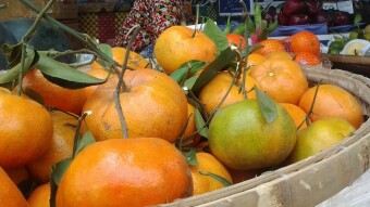 Vietnamese Markets, Nha Trang