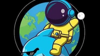 Dolphin Airdrop Round 1