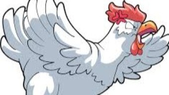 SHARE YOUR BATTLE - FURIOUS CHICKEN SPLINTERLANDS, Sacrificial Animal's Support Group