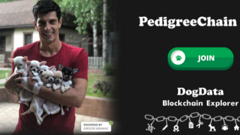 DogData! Project Dedicated to Dogs & Domestic Animals with Data Storage on the Blockchain.