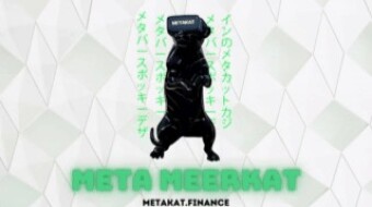 ⭐️ Whitelist Giveaway METAKAT - Presale 26 February⭐️