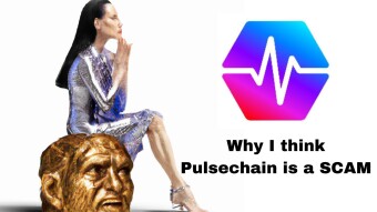 Why I think Pulsechain is a SCAM