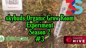 Organic Grow Room Living Soil Experiment Season 2 #3 - Humidity is Killing