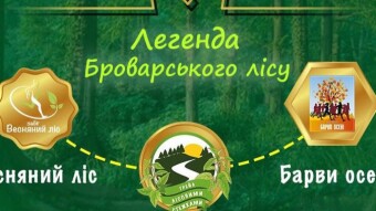 Running series "Legend of Brovary Forest"