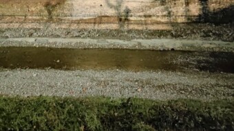Torrente Guerro (Northern Italy) - A night vision