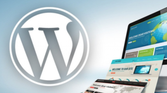 Dev with WP - WordPress Directory Structure