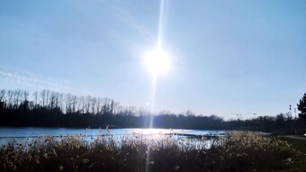 Continuation of the spring weather - My Actifit Report Card: March 4, 2026