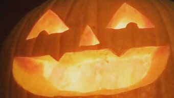 The Gourd of Protection Against Being Dumb