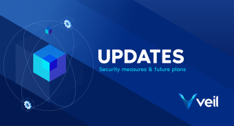 Veil - the libzerocoin exploit, security measure, and the future