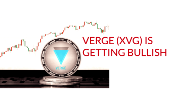 Verge (XVG) is next deserving coin under top 50 market cap ranking.