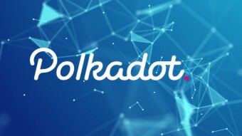 The Booming Polkadot Ecosystem and Its Top Tokens