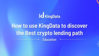 How to use Kingdata to discover the best lending path