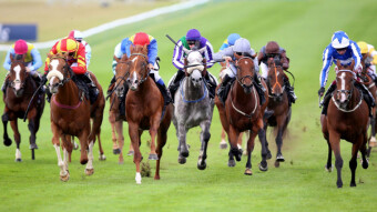 How to Bet on Horse Races