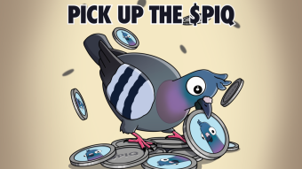 Pigeon Token: The digital treasure of Pigeon Quest Adventure