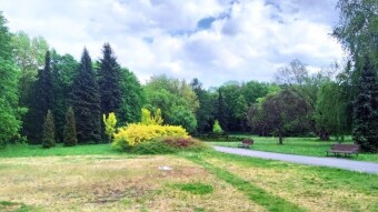 Another Cool Spring Day - My Actifit Report Card: May 13, 2026