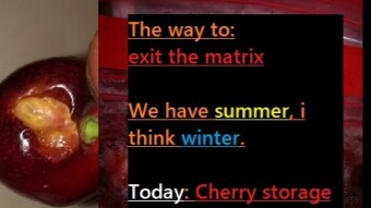 The way to exit the matrix / TODAY - food supply planning - OPERATION CHERRY