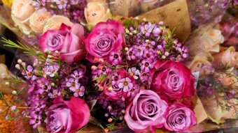 Artificial flower photography