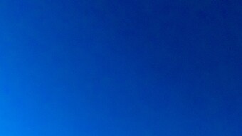 LA (Again!), Summer in Nap & Blue Not Sad