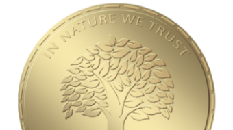 Oliveland - My favorite NFT project