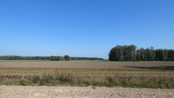 Another beautiful September day - My Actifit Report Card: September 19 2024
