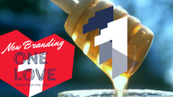 OneLove Logo Concepts By @DTLDesign, Please Let Us Know What You Think?