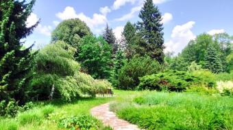 The weather is changeable, but pleasant because it's Friday - My Actifit Report Card: June 12, 2026