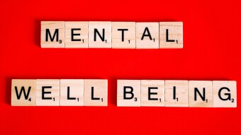 Mental Wellbeing in Bear Markets