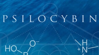 Psilocybin - A Conscious Rap Collaboration Between Myself and 4 Other Artists [Official Lyric Video]