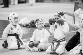 Traditional Martial Arts
