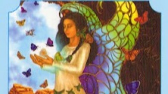 BUTTERFLY MAIDEN - 19/11/23 (WEEKLY STATUS PREDICTION)