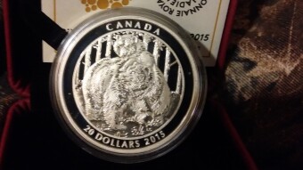 There Is No Better Time To Start Collecting and Investing in Coins!