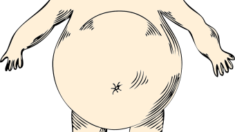 What is obesity and how do I get rid of it?
