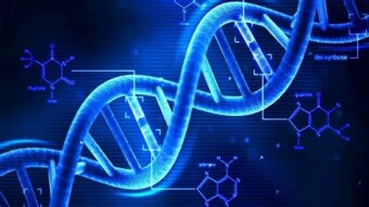 Micronutrients and malnutrition - the chemistry of minerals