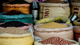 World War III: What food is good to store for war?