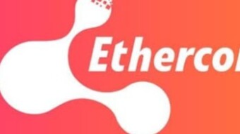 Get FREE Airdrops EIFI AND PANDAINU Token Buy Only ECC Now