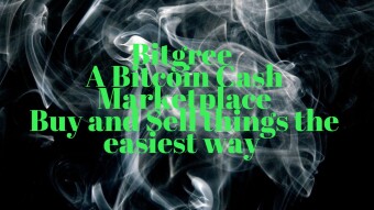Wish, Propose, Buy: How Bitgree Marketplace Makes Bitcoin Cash Transactions User-Friendly